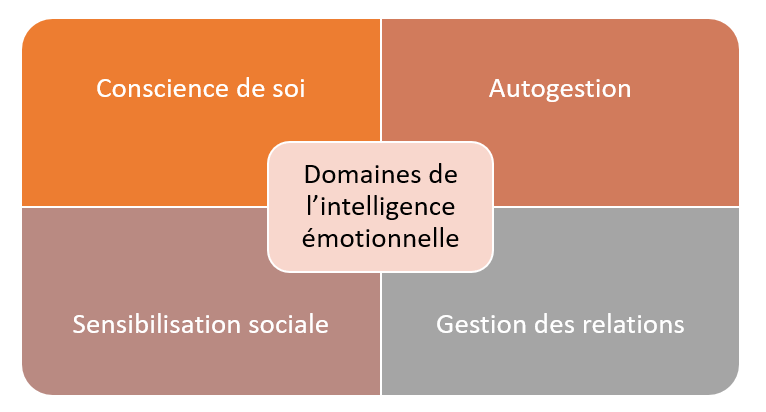 Intelligence émotionnelle pour les professionnels de projet