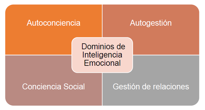 Inteligencia emocional para profesionales de proyectos